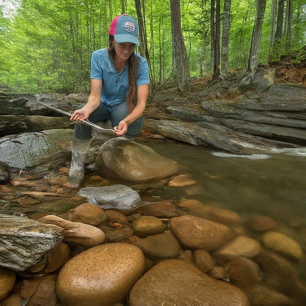 A Comprehensive Guide to Prospecting in Vermont